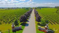 Two Sisters Winery Niagara own the Lake 2022 