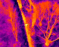 Thermal Imaging (Search & Rescue Operations) using the DJI M30T Drone 
