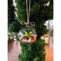 The Garden Owl Succulent Ornament Workshop