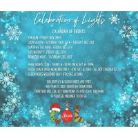 Celebration of Lights: Santa at The Park