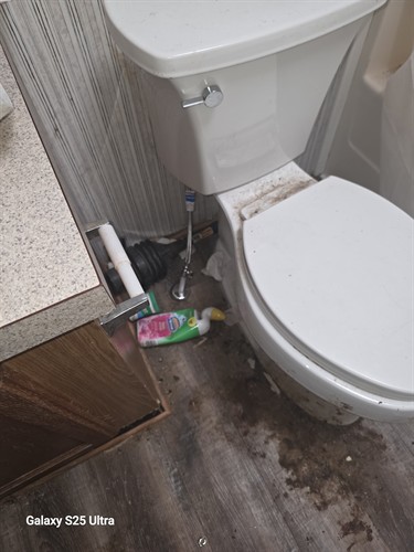 Gallery Image 1000019251.jpg