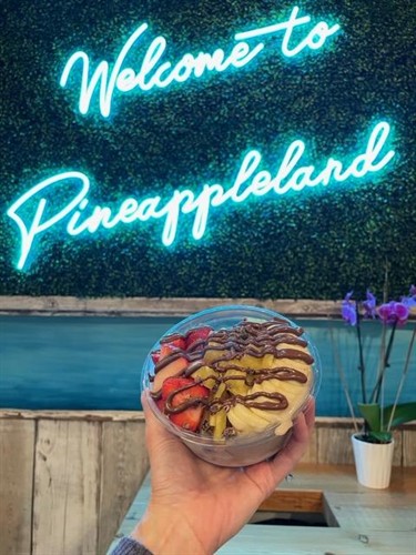 Welcome to Pineappleland!