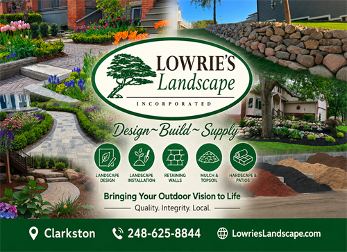 Our Services