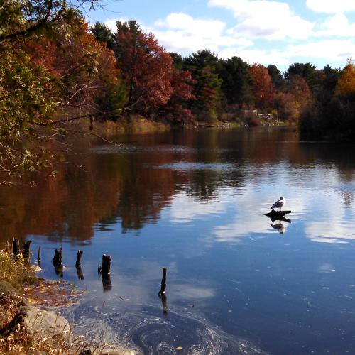 Gallery Image 05.500x500.jpg Gallery Image 05.500x500.jpg