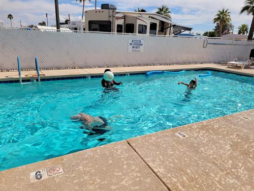 swimming pool - Heated in Winter swimming pool - Heated in Winter