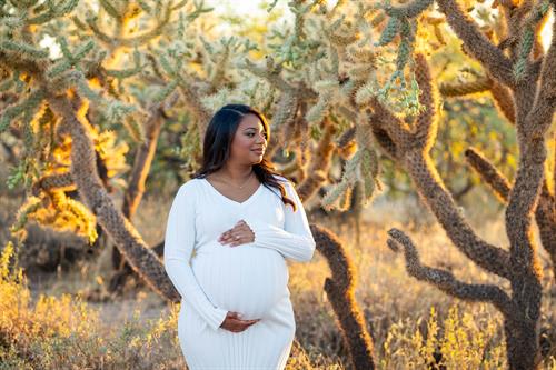 Superstition mountain in Mesa AZ maternity photos