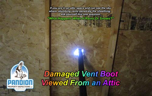 Gallery Image Bad_Vent_Boot_From_Attic(2).JPG