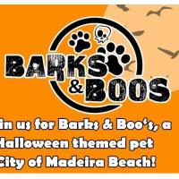 Barks & Boo's: Halloween Pet Market