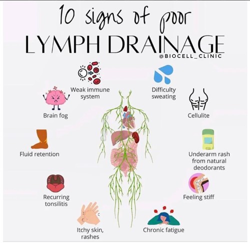 Signs of poor Lymphatic Drainage
