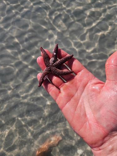 Gallery Image FB_IMG_1768271579349.jpg