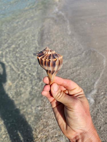 Gallery Image FB_IMG_1768271594910.jpg