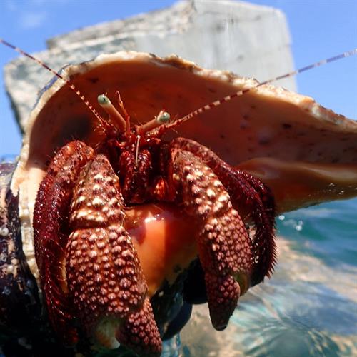 Gallery Image FB_IMG_1768321275768.jpg