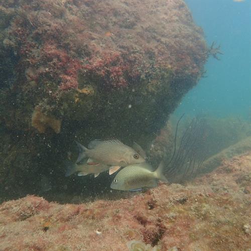 Gallery Image FB_IMG_1768321302958.jpg