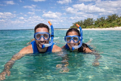 Snorkeling at Shell Key Preserve near Madeira Beach during a private jet ski tour.