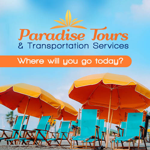 Paradise Tours and Transportation