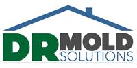 DR Mold Solutions