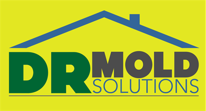 DR Mold Solutions