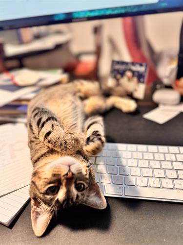 Office staff working hard