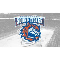 5th Annual Multi-Chamber Sound Tigers Event