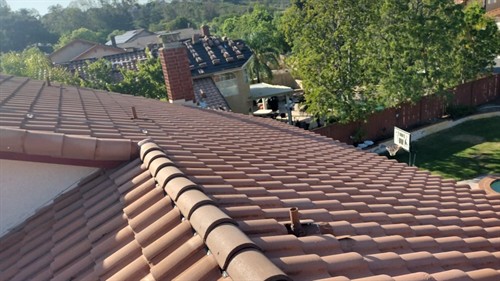 Tile Lift & Relay + Powerwash