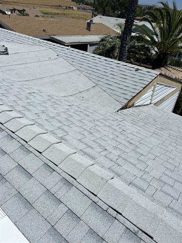 Shingle Re-Roof : Color: Shasta White