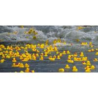 2026 Ducks for Bucks Whitewater Race