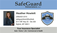 SafeGuard Insurance LLC