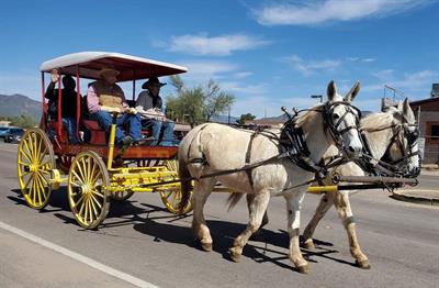 Patty & Penny hitched to another wagon in Arizona