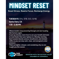 MINDSET RESET: Reset Stress. Rewire Focus. Recharge Energy.