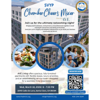SVYP Chamber Cheers Mixer
