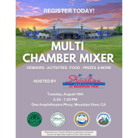 Multi Chamber Cheers Mixer