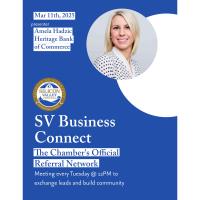 SVBC (Silicon Valley Business Connections)