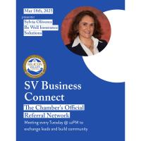 SVBC (Silicon Valley Business Connections)