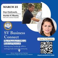 SVBC (Silicon Valley Business Connections)