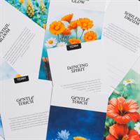 Gallery Image Branding_Photos-14.jpg Gallery Image Branding_Photos-14.jpg