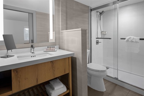 Standard Room Bathroom