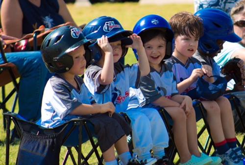 Youth Baseball, Coed, Ages 3-6