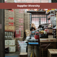 Supplier Diversity: From Access to Success