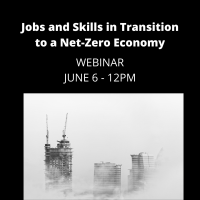  Jobs and Skills in Transition to a Net-Zero Economy