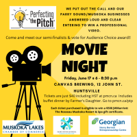 Perfecting the Pitch Movie Night