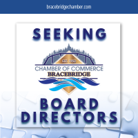 Board Director