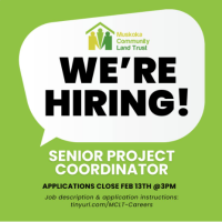 Senior Project Coordinator