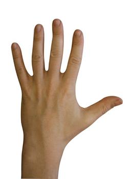 Gallery Image Left_Hand.jpg