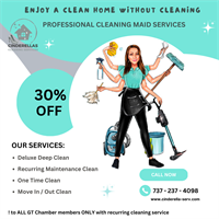 Cinderella's Cleaning Maid Services - Georgetown