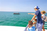 Dolphin Cruise along the Emerald Coast
