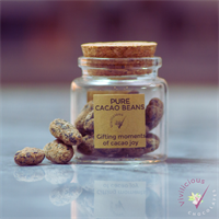 Cacau Gem - sugar-kissed cacao bean