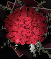 Luxury Bouquet - 50 Roses