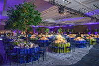 Gallery Image Ensemble_-_Newton_Wellesley_Hospital_2.png