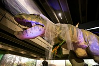 Gallery Image ErikaMike-NicoleChanPhotography-wm-515.jpg