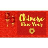 Sardinia Library Chinese New Year Event